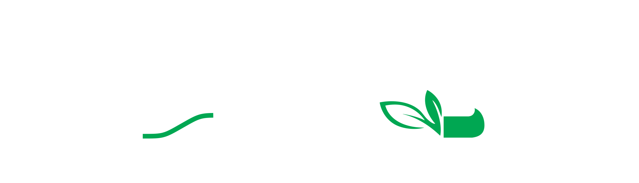 بهار رویش