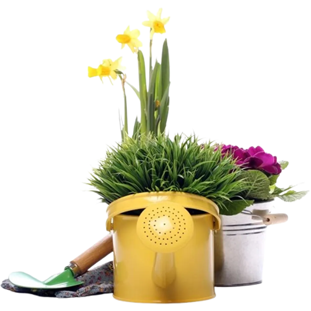 ترکیب شیمیایی سفارشی